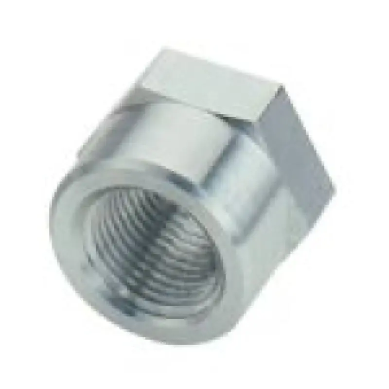 Fragola 1/8 FPT Weld Bung Buy Online