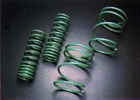 Fresh Stock Tein 05+ Mustang V8 GT S. Tech Springs - SKG12-AUB00
