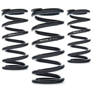 Express Delivery AST Linear Race Springs - 220mm Length x 40 N/mm Rate x 61mm ID - Set of 2 - AST-220-40-61
